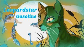 Пятнистая Звезда  Leopardstar  Gasoline Animator Tribute [upl. by Eirrahs]