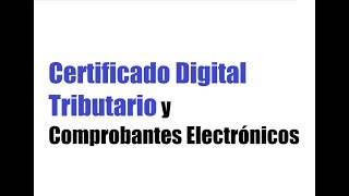 Certificado Digital Tributario y Comprobantes Electrónicos [upl. by Adnim790]