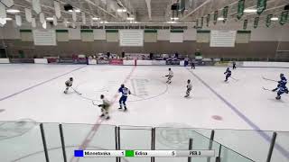 Minnetonka BA vs Edina  November 23 2024 [upl. by Nommad]