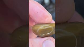 Very Fine Banded Agate  Episode 35 [upl. by Chessa]