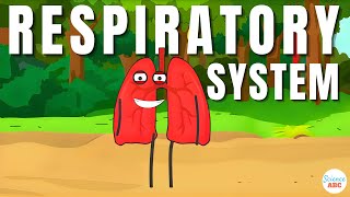 Respiratory System From Inspiration to Expiration Explained in Simple Words [upl. by Trawets]