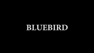 BLUEBIRD Charles Bukowski by Leonardo Bigio [upl. by Durant]