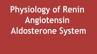 Physiology of Renin Angiotensin Aldosterone System  Dr Shikha Parmar [upl. by Cung]