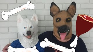 Funny dogs and a bears head mask 3 comedy videos by Arsenii [upl. by Annekcm]