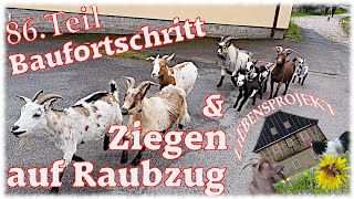 Ziegen auf Raubzug  Baufortschritt 86 Projekt Fachwerkhaus [upl. by Zsa Zsa]