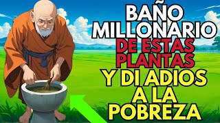 Llegó el DIA HOY TENDRAS DINERO en TODO EL AÑO si HACES BAÑO DE PLANTAS  Sabiduria zen budista [upl. by Nodyl894]