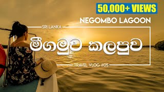 Negombo Lagoon  One Day Trip  Sri Lanka  VLOG5 [upl. by Khudari]