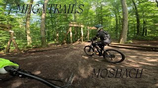 Mega Trails Flowtrail Mosbach 2024 [upl. by Ettenotna]