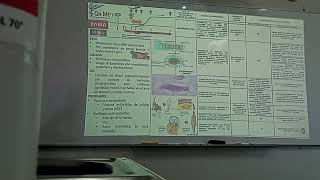 MICROBIOLOGIA FASE 3  PRACTICA 02 [upl. by Acimot877]