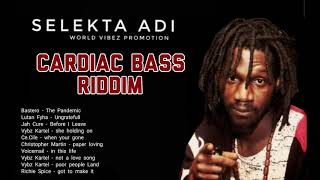 Cardiac Bass Riddim by Selekta Adi [upl. by Ardnekat]