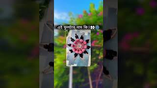 এই ফুলটার নাম কি 👀🌚 banglacomady funny comedyvideo কcomedy memes motivation YouTube [upl. by Neik]