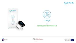 Lungs auscultation  vesicular breath sound 1 [upl. by Eniamor342]