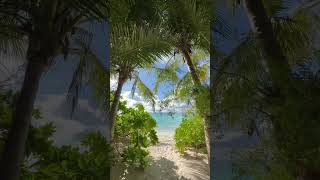 Maldives 2024 sunnysideoflife travel tropicalisland shorts t [upl. by Htebilil]