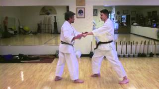 GoJuRyu Basic Bunkai [upl. by Aicil]