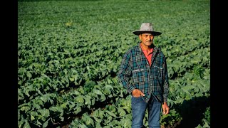 California Farmworker Overtime Laws [upl. by Ecilayram]