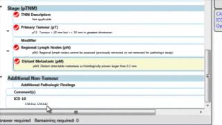 mTuitive Pathology Demo [upl. by Esinrahc]