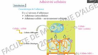 Généralités sur ladhesivité cellulaire [upl. by Auqinot]