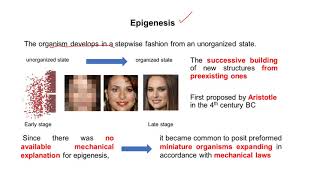 Quiz preformation and epigenesis [upl. by Goulden686]