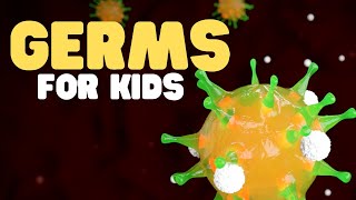 Germs for Kids  Learn all about bacteria viruses fungi and protozoa [upl. by Fihsak]