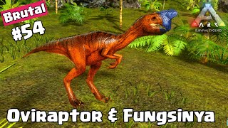 CARA TAMING OVIRAPTOR DAN FUNGSINYA arksurvivalmobile [upl. by Holbrooke285]