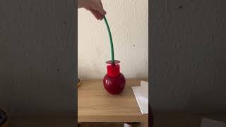 Creative Cherry Toilet Brush 🍒🚽 BathroomDecor ToiletBrush CreativeDesign HomeEssentials top [upl. by Haym971]