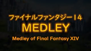 FF14 楽器演奏 「 FF14 メドレー 」 [upl. by Nwahc]