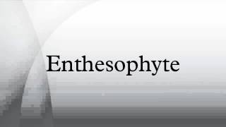 Enthesophyte [upl. by Madlen]