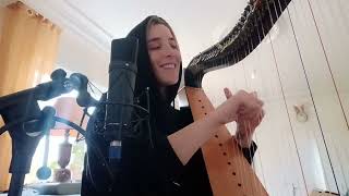 TAKE ON ME  AHA  acousticcover harp thevoicefrance [upl. by Melisse606]