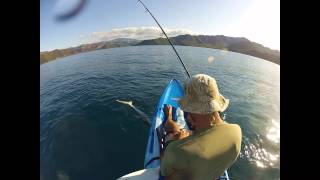 Pêche en Kayak avec Sharky  Nouvelle Calédonie [upl. by Dlanar]