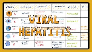 Viral Hepatitis Comparison in 3 Minutes  What are the different types of Viral Hepatitis [upl. by Yolande]