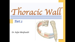 Anatomy of Thoracic Wall Part 2 Full Lecture [upl. by Aleinad]