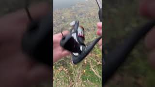 Secret spot loaded with fish Fish Fishing Fun Secret Bluegill Subscribe [upl. by Nauq374]