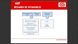 NIC 38 Activos Intangibles [upl. by Ayhtin]