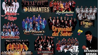 MIX ORQUESTAS DEL ECUADOR 2023 SOLO EXITOS BAILABLES VOL1 [upl. by Zindman499]