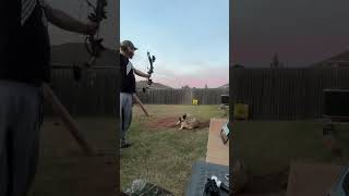 Shooting the new compound bow with my Kangal dog Thor [upl. by Limhaj]