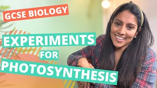 Required Practical for Photosynthesis  GCSE  IGCSE Biology [upl. by Mcallister]