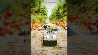 Strawberry picking robot developed by Octinion [upl. by Graehl694]