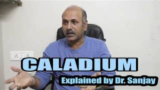 Caladium Explained By DrSanjay [upl. by Aij]