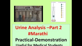 Urine Analysis l Complete Urine Test l Part 2 l Marathi l Urine Abnormal Constituents l BT CT [upl. by Jasper]