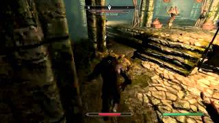 The Elder Scrolls Skyrim  Killing The skinner as a werewolf [upl. by Chelton]