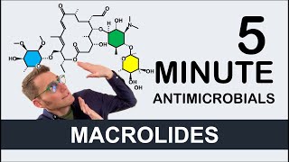 Macrolides  5 Minute Antimicrobials [upl. by Ace]