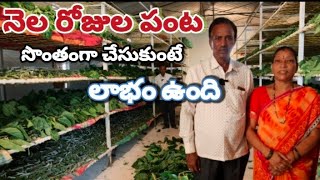 seri culturesilk worm farming నెల రోజుల పంటసొంతంగా చేసుకుంటే లాభం [upl. by Oderfla855]