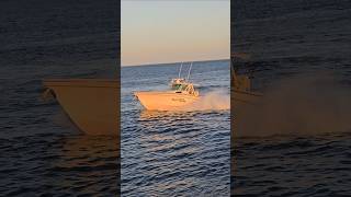 Something Fishy In The Manasquan Inlet  Point Pleasant Beach New Jersey [upl. by Gadmann190]