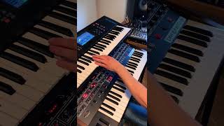 Rock Me Amadeus  Falco  synthesizer intro [upl. by Dysart]