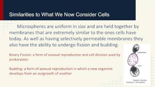 Predecessors to Cells Enter the Proteinoid Microspheres [upl. by Feinberg]