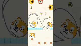 Protect MyPet  level 41  shortvideo games savethecats gaming savethepets gameplay [upl. by Clinton258]