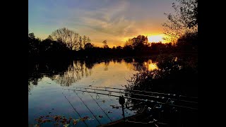 Yateley Pads Lake A Welsh Winklers Tale Carp Fishing [upl. by Jollenta]