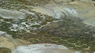 What Created These Strange Geoglyphs in South Africa [upl. by Silera402]