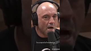 Does Joe Rogan cry [upl. by Anale]