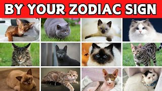 The Perfect Cat Breed For Your Zodiac [upl. by Centonze]